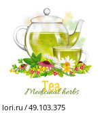 Teapot And Tea Cup Medicinal Herbs Illustration. Glass teapot and teacup surrounded with medicinal herbs and flowers on white background with title isolated vector illustration. Стоковая иллюстрация, агентство Ingram Publishing / Фотобанк Лори