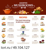 Assorted  Mushrooms Infographics. Assorted  mushrooms infographics flat layout with visual information about different edible species and most interesting and delicious recipes vector illustration. Стоковая иллюстрация, агентство Ingram Publishing / Фотобанк Лори