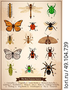 Insects Vintage Book Page. Vintage book page poster with set of different most famous insects drawn in doodle style vector illustration. Стоковая иллюстрация, агентство Ingram Publishing / Фотобанк Лори