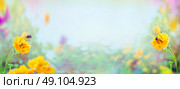 Yellow Geum flowers and bumblebee on blurred summer garden or park background, banner for website. Стоковое фото, агентство Ingram Publishing / Фотобанк Лори
