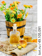 Blooming calendula . Стоковое фото, агентство Ingram Publishing / Фотобанк Лори
