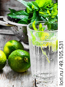Invigorating summer drink. Стоковое фото, агентство Ingram Publishing / Фотобанк Лори
