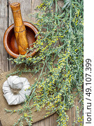 wormwood and mortar. Branch of medicinal sage and mortar with pestle. Стоковое фото, агентство Ingram Publishing / Фотобанк Лори