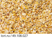 Light brown shelly sand background. Стоковое фото, агентство Ingram Publishing / Фотобанк Лори