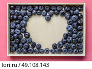 berries Blueberry. Стоковое фото, агентство Ingram Publishing / Фотобанк Лори