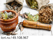 Bags with herbal. Dried harvest of herbs of Linden and aspen bark in bags. Стоковое фото, агентство Ingram Publishing / Фотобанк Лори