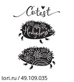 Illustration of cutest hedgehogs with flowers. Vector illustration of cutest hedgehogs with flowers. Стоковая иллюстрация, агентство Ingram Publishing / Фотобанк Лори