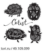 Set of cutest hedgehogs with flowers.. Set of cutest hedgehogs with flowers. Elements for design and t-shirt print. Vector illustration. Стоковая иллюстрация, агентство Ingram Publishing / Фотобанк Лори