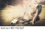 Horse kneeling down, retro styled. Стоковое фото, агентство Ingram Publishing / Фотобанк Лори