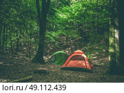 Camping site with two tents in a green forest. Стоковое фото, агентство Ingram Publishing / Фотобанк Лори