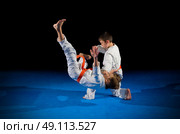Little boys martial arts fighters isolated. Стоковое фото, агентство Ingram Publishing / Фотобанк Лори