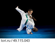 Children martial arts fighters isolated. Стоковое фото, агентство Ingram Publishing / Фотобанк Лори