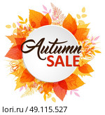 Abstract autumn banner with orange and yellow falling leaves. "Autumn sale" lettering on a white round background. Стоковая иллюстрация, агентство Ingram Publishing / Фотобанк Лори