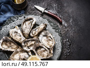 Open raw oysters on vintage plate with lemon and oysters knife, dark background, top view, close up. Стоковое фото, агентство Ingram Publishing / Фотобанк Лори