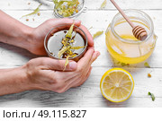 Linden herbal tea. glass of antiviral Linden tea with honey in the hands of women. Стоковое фото, агентство Ingram Publishing / Фотобанк Лори