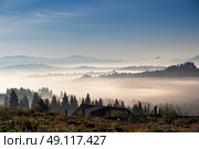 Bird flying over hills and village. Foggy morning in Carpathian mountains. Стоковое фото, агентство Ingram Publishing / Фотобанк Лори