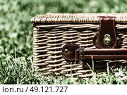 Picnic Basket Hamper With Leather Handle In Green Grass. Стоковое фото, агентство Ingram Publishing / Фотобанк Лори