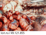 Sausages On Barbecue Grill. Стоковое фото, агентство Ingram Publishing / Фотобанк Лори