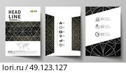 Business templates for brochure, magazine, flyer, booklet or annual report. Cover design template, easy editable vector, abstract flat layout in A4 size. Celtic pattern. Abstract ornament, geometric vintage texture, medieval classic ethnic style. Стоковая иллюстрация, агентство Ingram Publishing / Фотобанк Лори