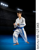 Little boy martial arts fighter in sports hall. Стоковое фото, агентство Ingram Publishing / Фотобанк Лори