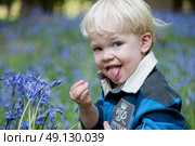 Boy eating poisonous bluebells in woodland. Стоковое фото, агентство Ingram Publishing / Фотобанк Лори
