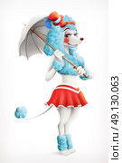 Actress circus, poodle, cartoon character, vector mesh. Стоковая иллюстрация, агентство Ingram Publishing / Фотобанк Лори