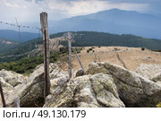 Fencing in the rugged Pyrenean mountains. Стоковое фото, агентство Ingram Publishing / Фотобанк Лори