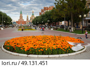 Город Йошкар-Ола, Республика Марий Эл, Россия. Бульвар Чавайна в центре Йошкар-Олы. На переднем плане клумба с оранжевыми цветами бархатцами. По бульвару гуляют люди. Девочка кормит голубей. Вдали виднеются Благовещенская башня и Благовещенский собор. Летний сезон. Июль. (2015 год). Редакционное фото, фотограф Андрей Степанов / Фотобанк Лори