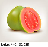 Fresh green Guava fruit. Vector. Стоковая иллюстрация, агентство Ingram Publishing / Фотобанк Лори