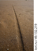 tire tyre tread print on beach sand background. Стоковое фото, агентство Ingram Publishing / Фотобанк Лори
