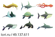 Fish And Marine Animals Cartoon Set . Ocean underwater animals cartoon retro characters set with stingray shark turtle swordfish and squid fish isolated vector illustration . Стоковая иллюстрация, агентство Ingram Publishing / Фотобанк Лори