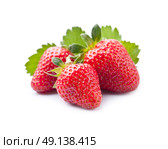 Strawberry berries with leaves. Стоковое фото, фотограф Волошина Мария Ивановна / Фотобанк Лори