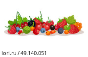 Berries Vector Illustration. Composition from forest and garden berries with strawberry bilberry raspberry cloudberry gooseberry elements flat vector illustration. Стоковая иллюстрация, агентство Ingram Publishing / Фотобанк Лори