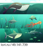 Underwater Life  Retro Cartoon Banners Set . Underwater marine life retro cartoon horizontal banners set with giant shark fish dolphin turtles isolated vector illustration . Стоковая иллюстрация, агентство Ingram Publishing / Фотобанк Лори
