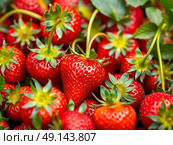 Bright colorful edible background of ripe strawberries. Fresh ripe strawberry.Vibrant still life. Close up. Стоковое AI-изображение, AI-художник Iva Noel / Фотобанк Лори