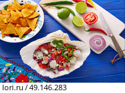 Ceviche Mexican food style recipe with nachos and ingredients. Стоковое фото, агентство Ingram Publishing / Фотобанк Лори