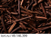 kukicha tea macro detail texture background. Стоковое фото, агентство Ingram Publishing / Фотобанк Лори
