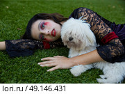 Halloween kid girl custome with bloody makeup and white doggy. Стоковое фото, агентство Ingram Publishing / Фотобанк Лори