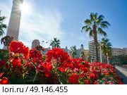 Valencia Puente de las Flores flowers bridge in Spain. Стоковое фото, агентство Ingram Publishing / Фотобанк Лори