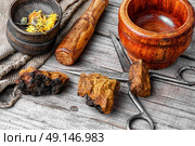 Set of healing herbs. dried pieces of chaga birch fungus and flowers of calendula. Стоковое фото, агентство Ingram Publishing / Фотобанк Лори
