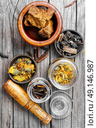 Set of healing herbs. Medicinal herbs of folk medicine comfrey,birch mushroom and calendula. Стоковое фото, агентство Ingram Publishing / Фотобанк Лори