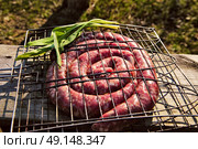 Uncooked sausages for barbecue. Travel kielbasa cooking. Picnic outdoors. Стоковое фото, агентство Ingram Publishing / Фотобанк Лори