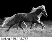 OLYMPUS DIGITAL CAMERA. Стоковое фото, агентство Ingram Publishing / Фотобанк Лори