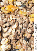 natural grain sportive  muesli background. for horse. macro. Стоковое фото, агентство Ingram Publishing / Фотобанк Лори