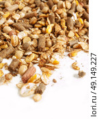 high quality sportive  muesli background. for horse. close up. Стоковое фото, агентство Ingram Publishing / Фотобанк Лори