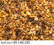 horse muesli background.  sport line high quality. close up. Стоковое фото, агентство Ingram Publishing / Фотобанк Лори