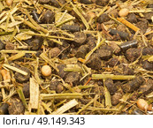 ligth muesli  with herbs for horse background. close up. Стоковое фото, агентство Ingram Publishing / Фотобанк Лори
