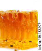 golden fresh Honeycomb and bee pollen. texture. Стоковое фото, агентство Ingram Publishing / Фотобанк Лори