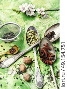 Herbs and spices for spring tonic tea. ginger,cinnamon and spices for an invigorating for the masala tea. Стоковое фото, агентство Ingram Publishing / Фотобанк Лори