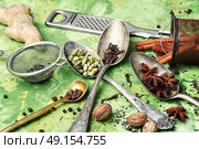 Ingredients for masala tea. ginger,cinnamon and spices for an invigorating for the masala tea. Стоковое фото, агентство Ingram Publishing / Фотобанк Лори
